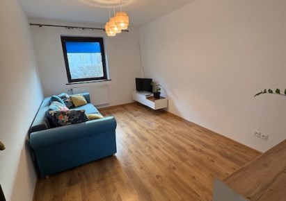 mieszkanie na wynajem - Opole